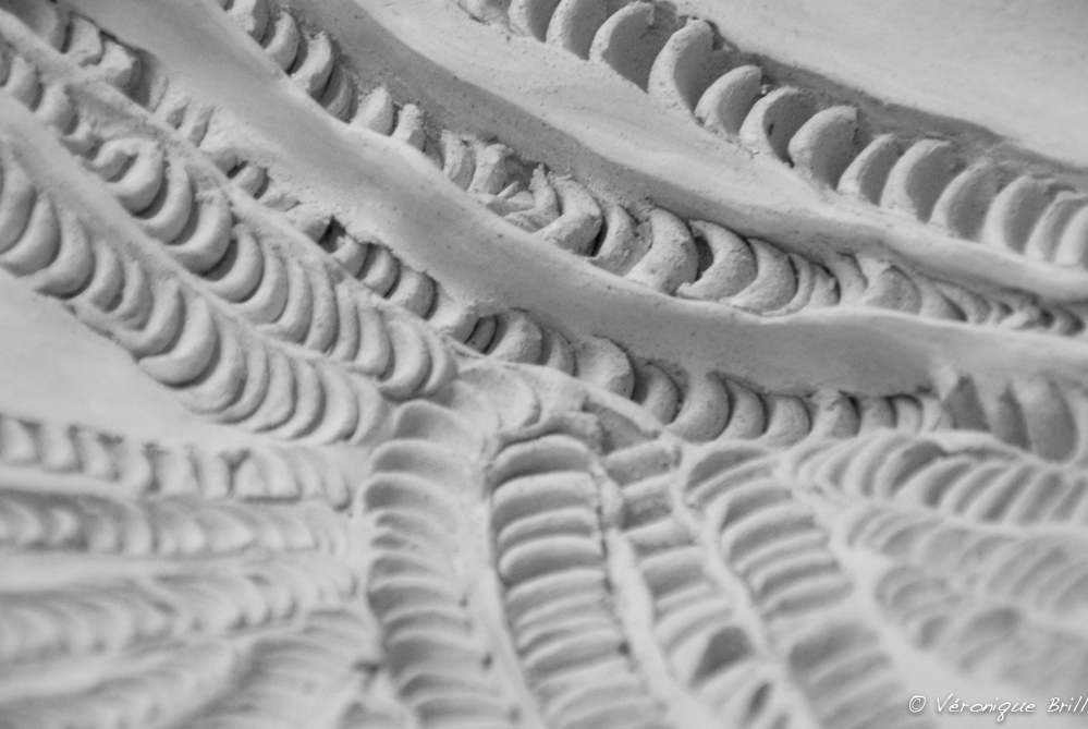 2016janv.-0256Nirman M