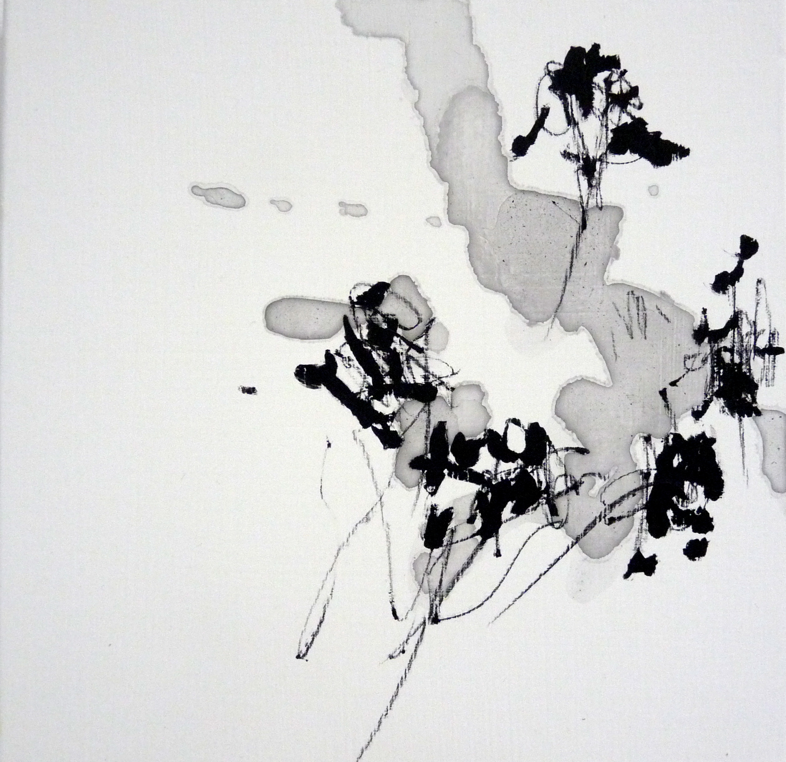 1 Les plantes frémissent 30:30 cm