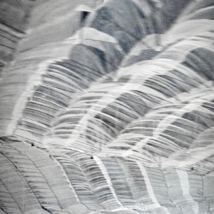 LOiseauQuiSEfface2012-11-369BleueAEB