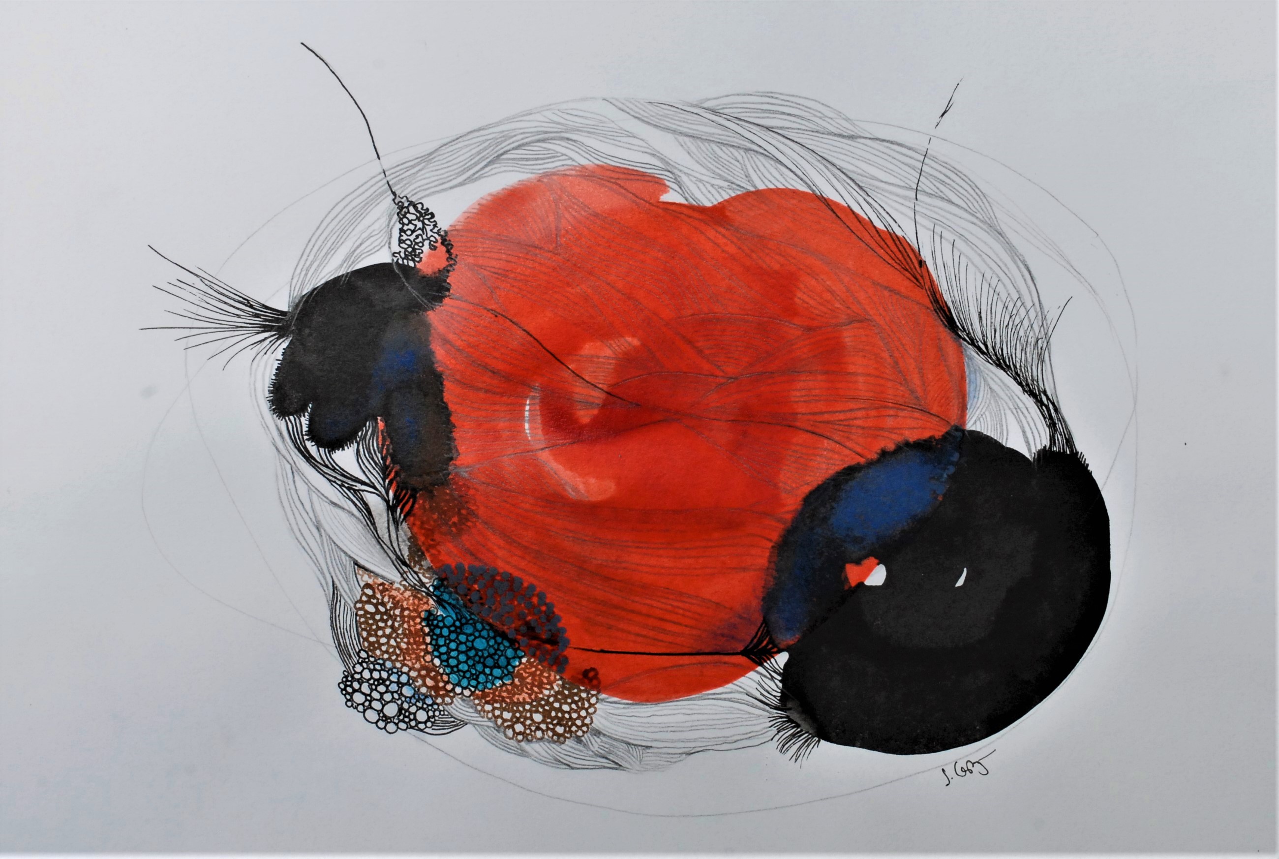 My beautiful red sunshine