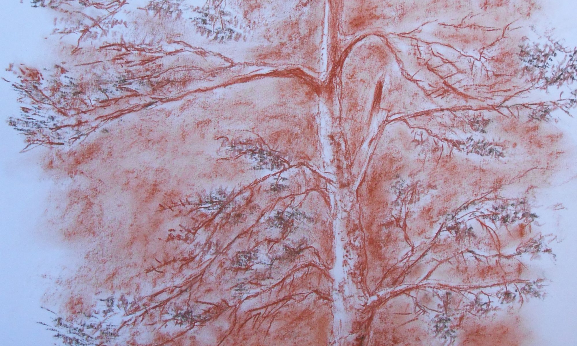 3Fragile élégance180