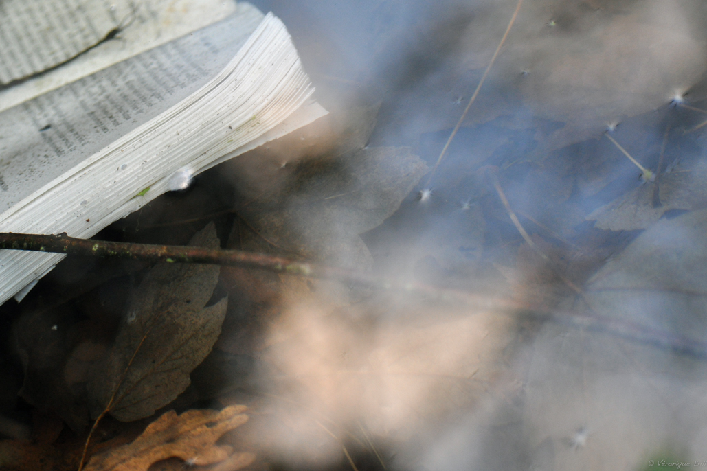 Audela des tourments