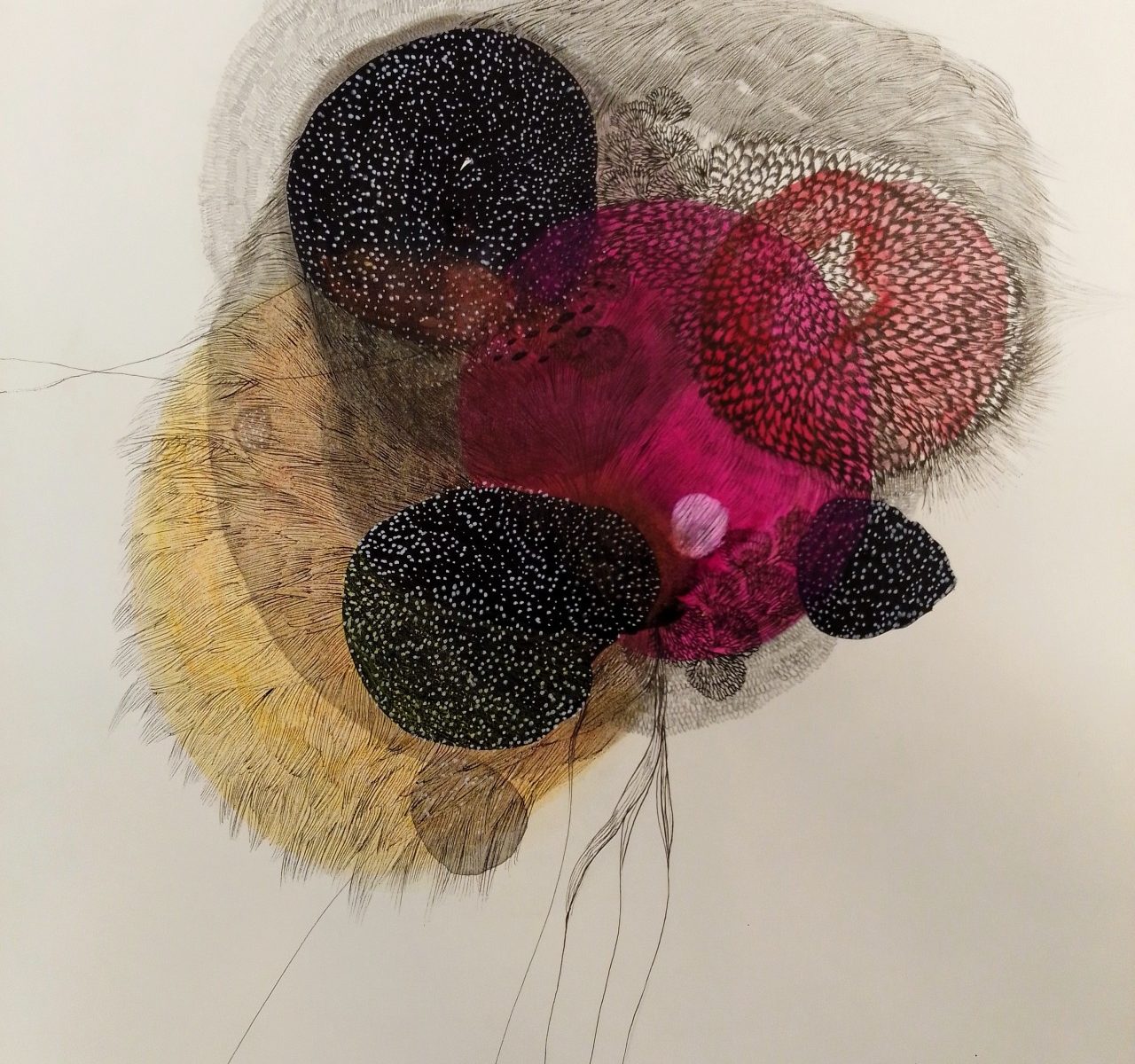 tumblr_3e9ad80c225627aae6d81d9c0d8d26d6_c3b63846_1280