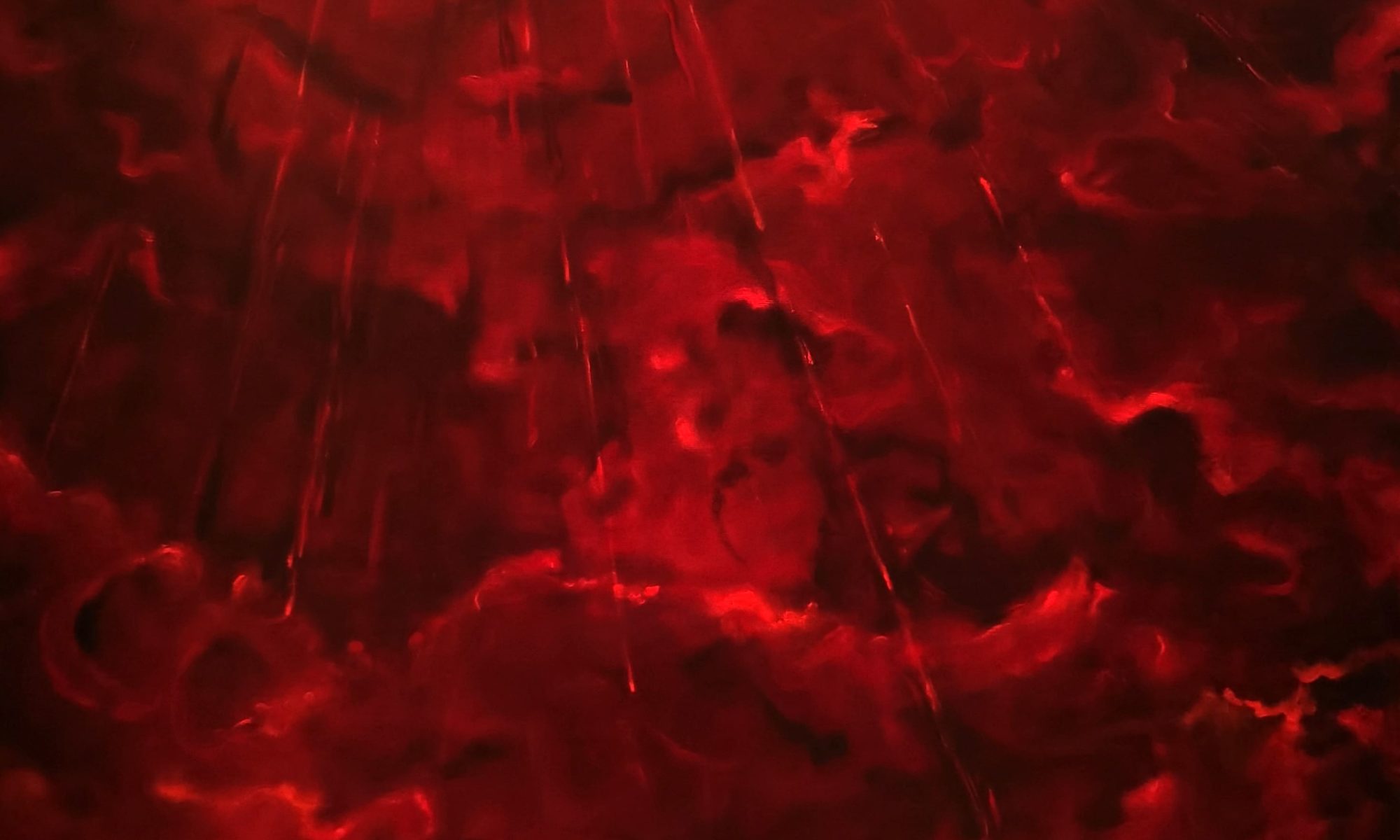 IMG_20211112_003556_804-1a7f1bfd