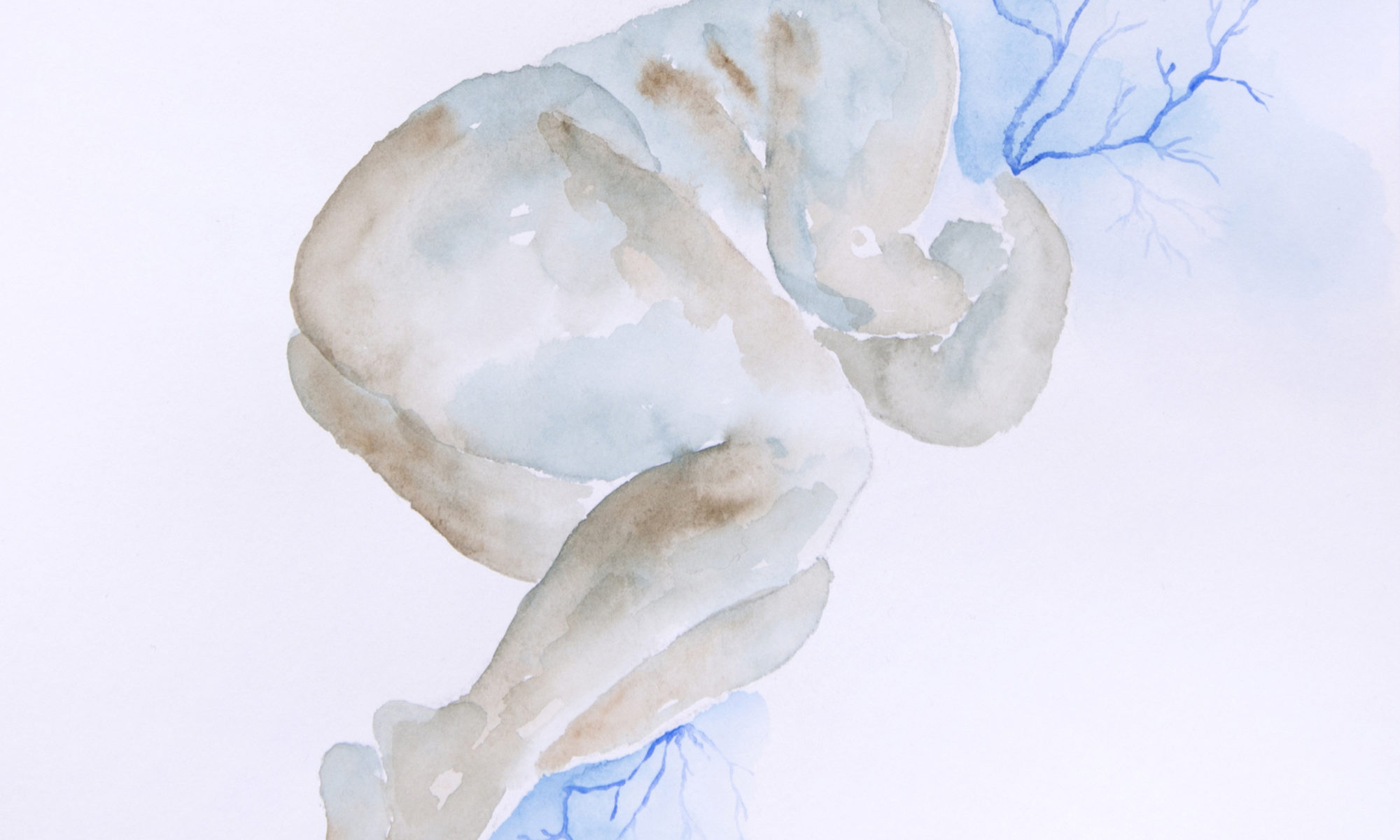Dessin_aquarelle_IP-dd63be1e