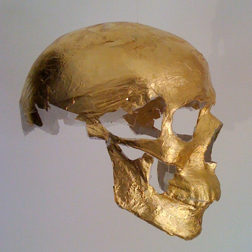 Crâne de papier Carnévalé