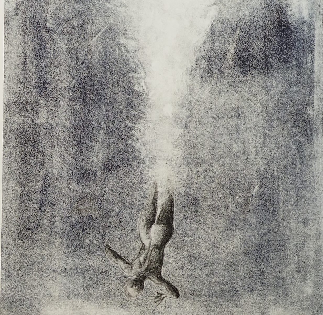 Ils sont partis, Nageurs verticaux (3), 2022