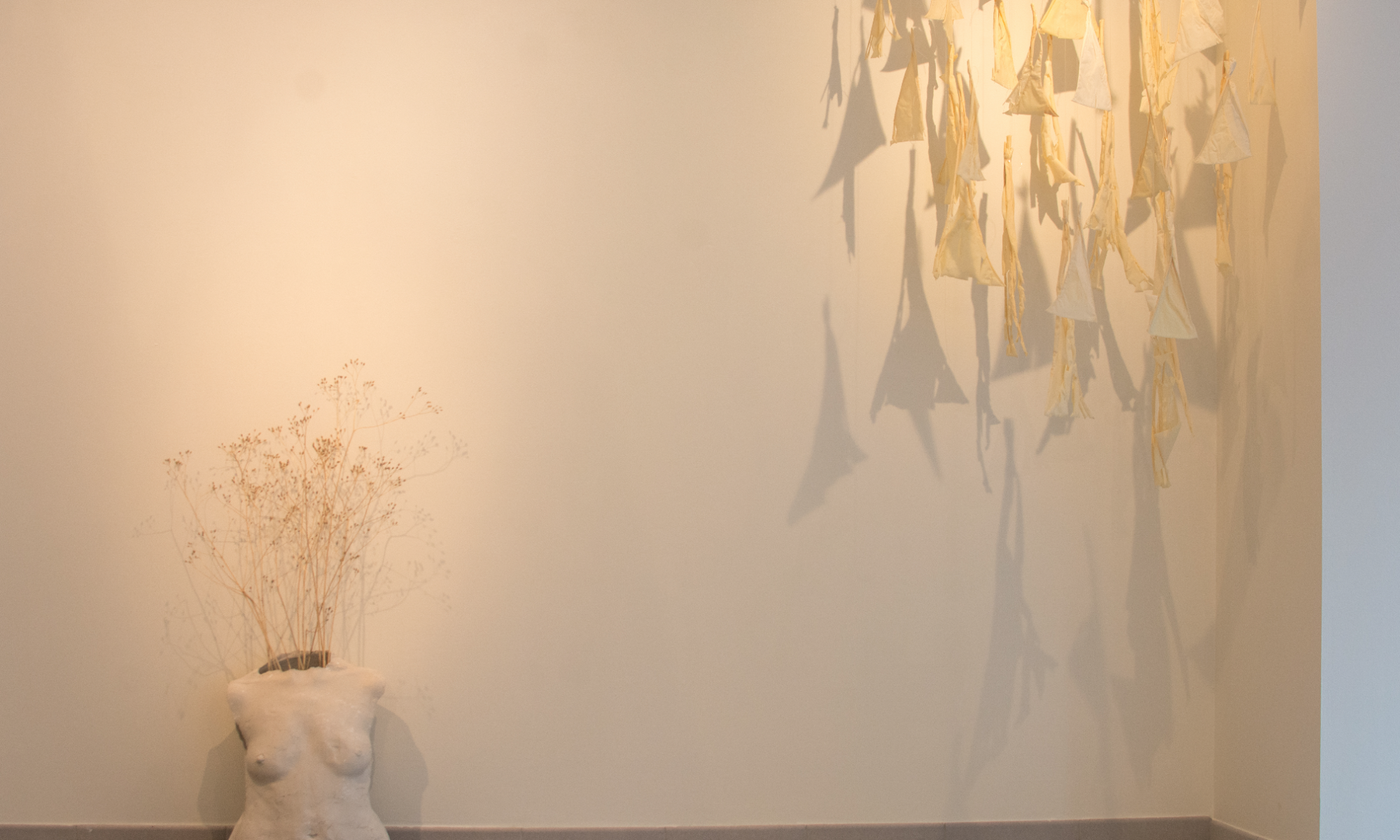 Vue_nousetionsdesgraines