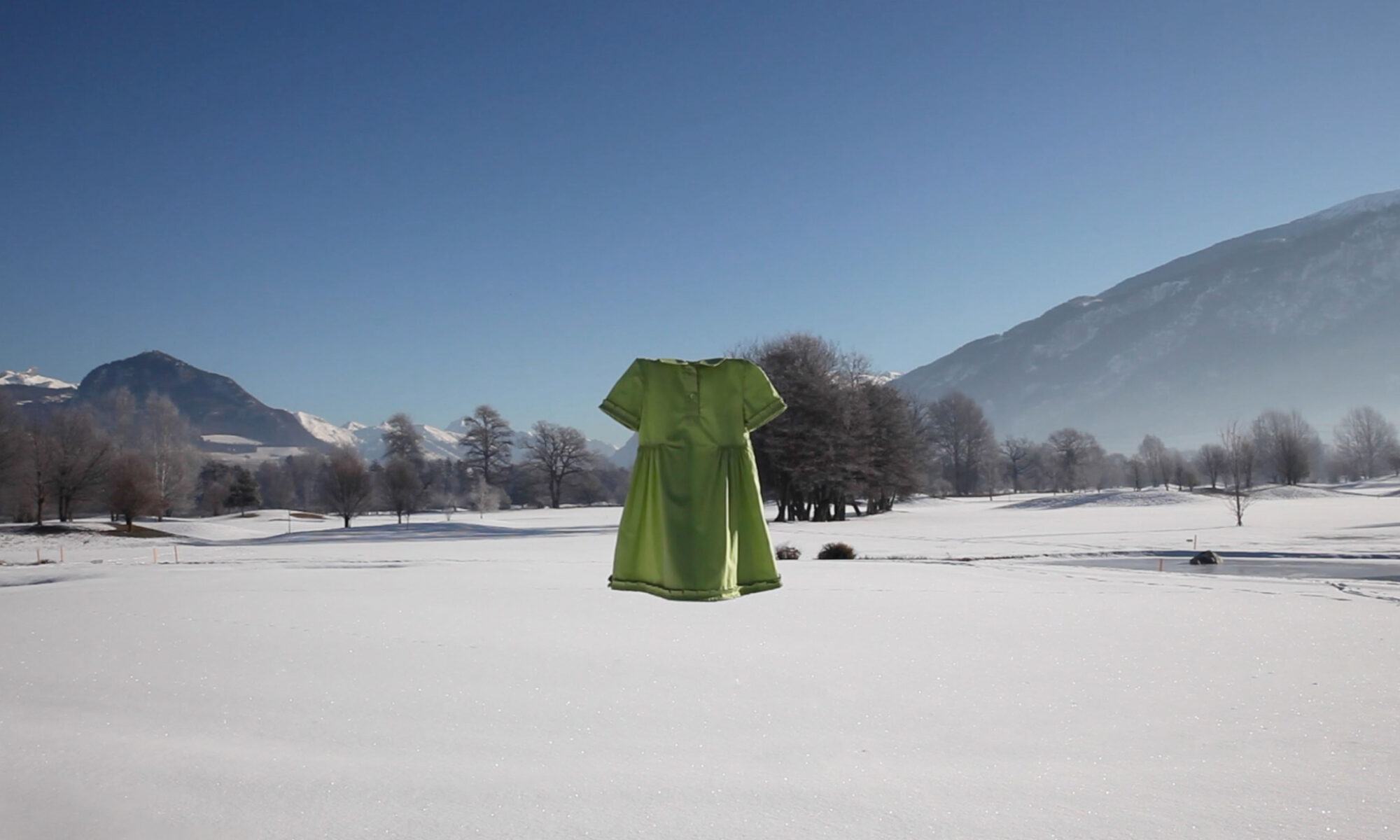 BAScerises d'hiver 02