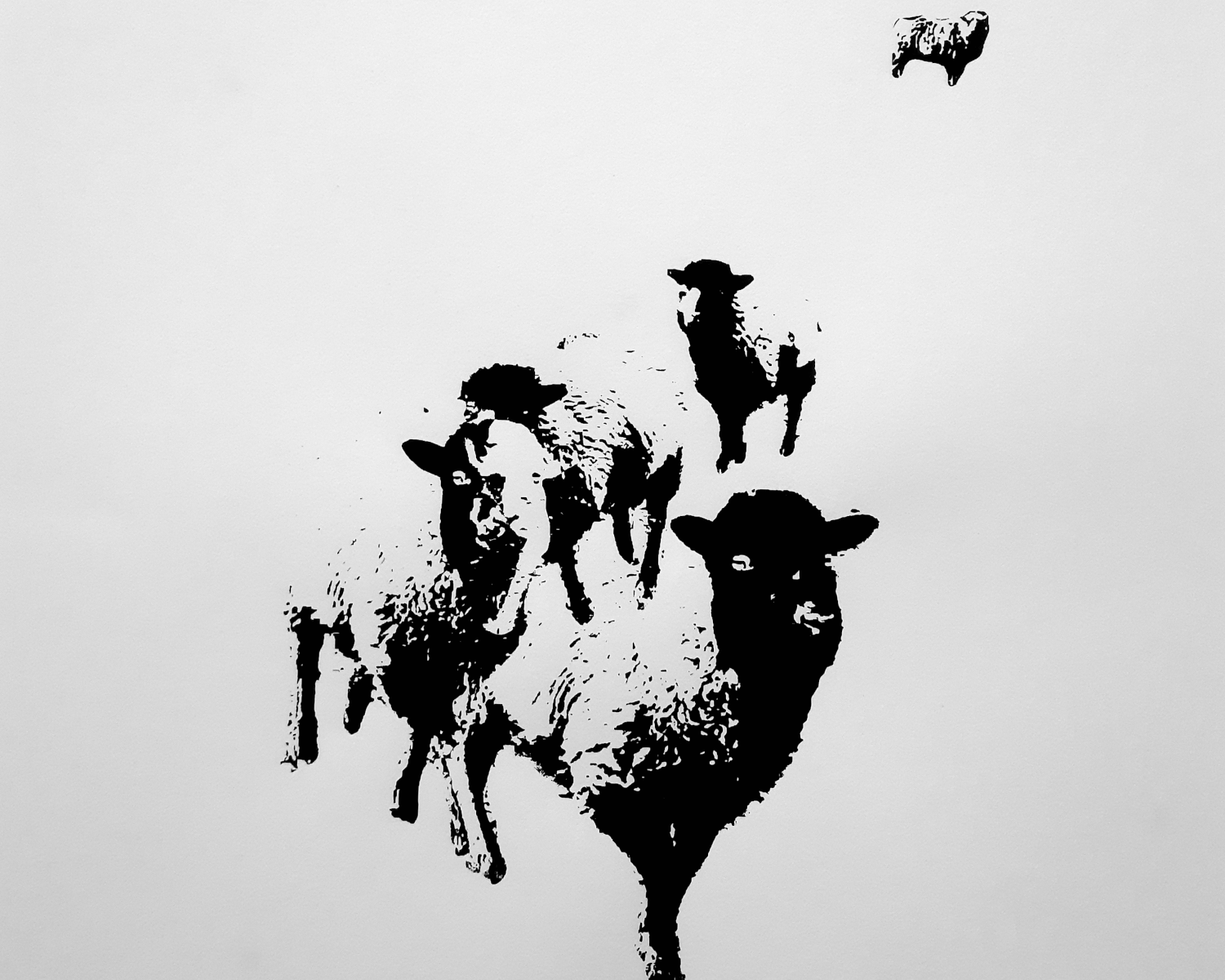 Sérigraphie_agneau_noir_nain