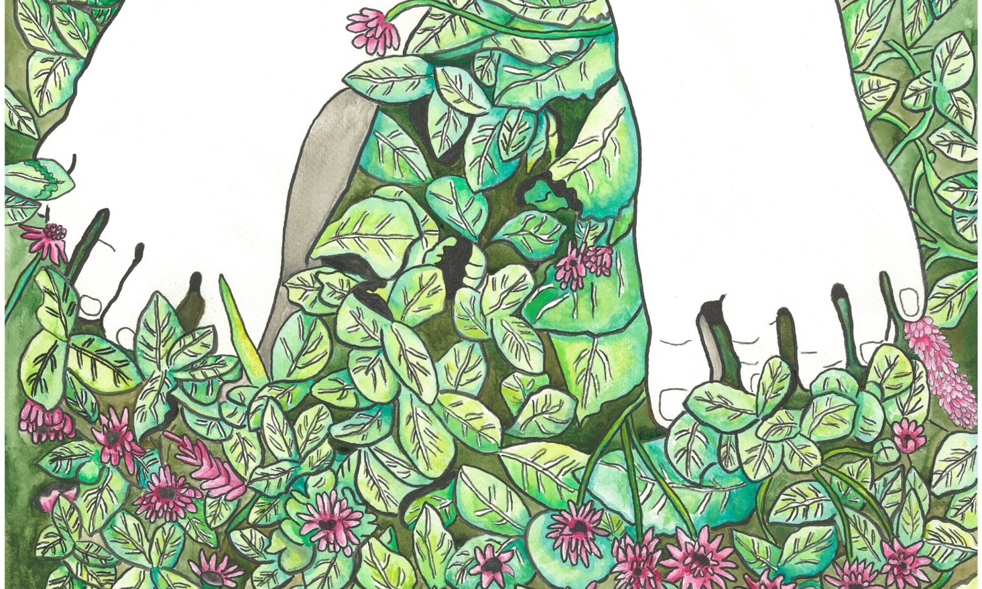 Des forêts
