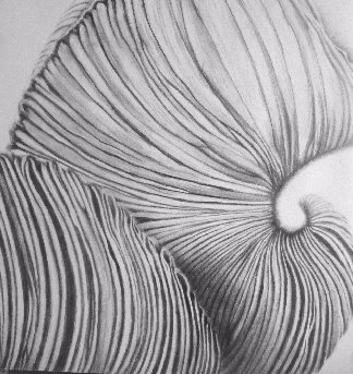 Une œuvre d'ALBASIO Isabelle