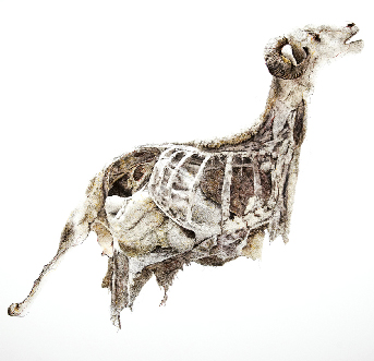 Une œuvre de MASON Emmanuelle