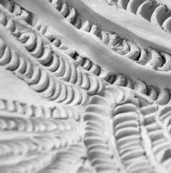 Une œuvre de NIRMAN Mireille