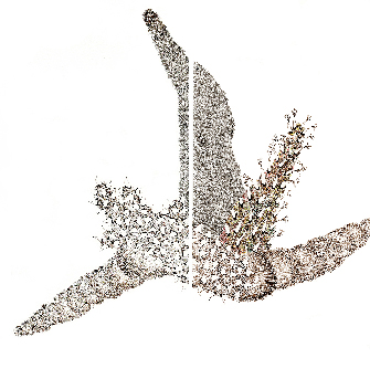 Une œuvre de ROTELLINI Sorane